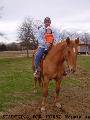 SEARCHING FOR HORSE Norman and Breeze, $1000 REWARD each Near Kaufman, TX, 75142